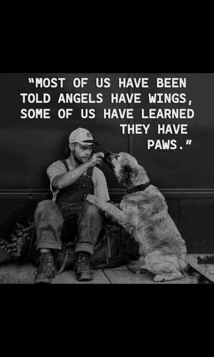 dominic dyer tweet media