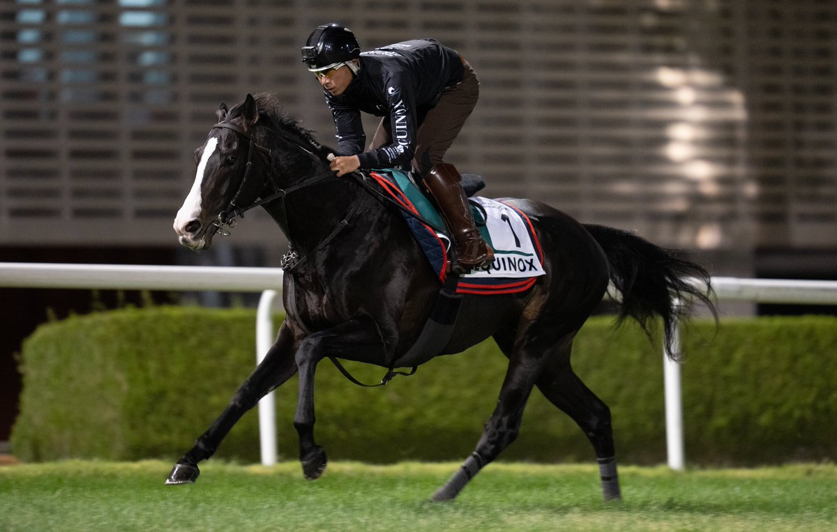 RacingPost's tweet photo. ⭐️ Equinox WINS the Group 1 Dubai Sheema Classic 

S U P E R S T A R https://t.co/j1Ic67Hh3f