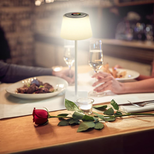 $20.93 (39% off) when you apply promo code: Apply 40%off coupo
Table Lamp for Bedroom, IPARTEXPERT Touch Control RGB Bedside Li...
amazon.com/dp/B0BPLVR6TF?…