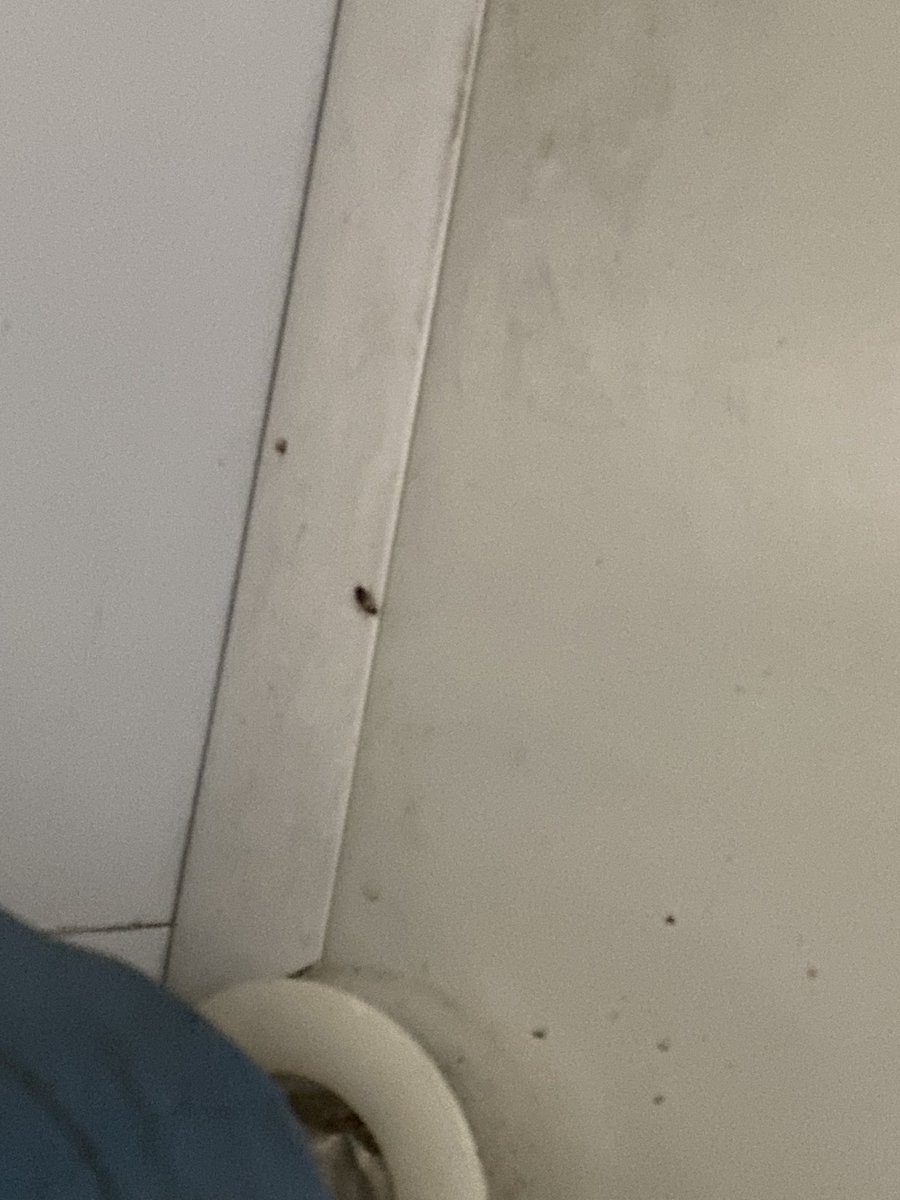 amitlondhe's tweet photo. @IRCTCofficial @PiyushGoyal @PMOIndia  Train No: 16339. 3 AC coach (B2). Too many cockroaches roaming around in the compartment. Poor maintenance by @RailMinIndia This is highly unacceptable service https://t.co/m4G4ULGYVI