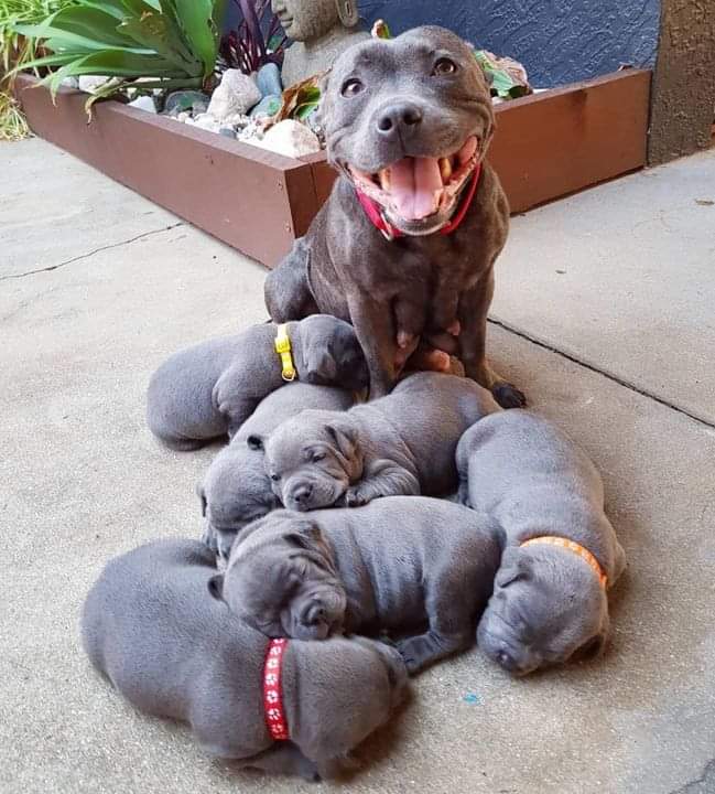 Proud Mother 😍