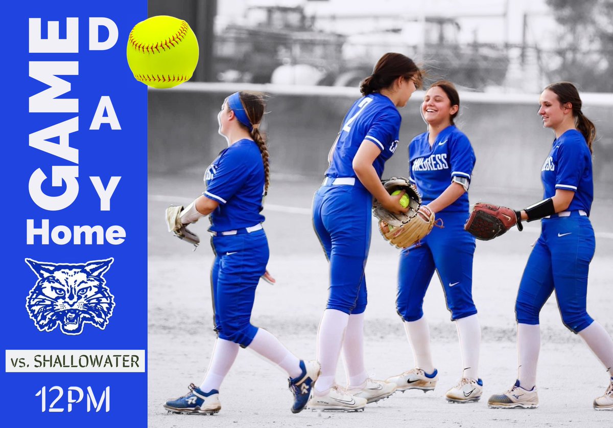 ChildressSoftball (@ladycatsftball) on Twitter photo 