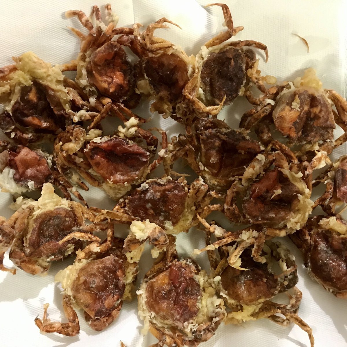 anto_effe's tweet photo. Oggi moeche fritte su polentina, un piatto della tradizione veneziana da secoli. Una prelibatezza assoluta. 
Il mio piatto preferito. 

#moeche #Pat #excellentfood https://t.co/utAIL0dfxW