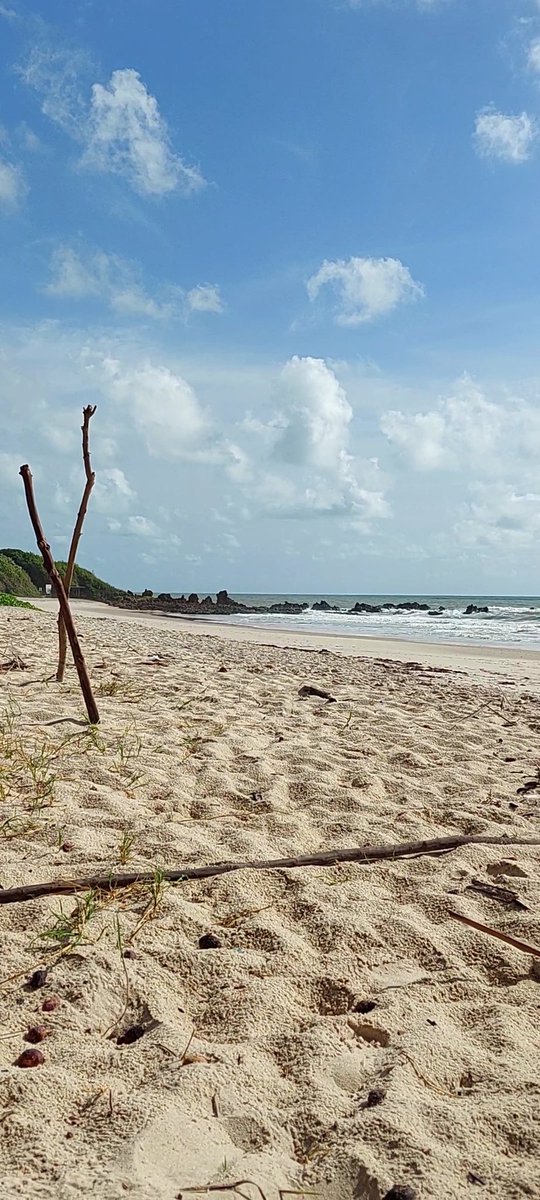 interiorviajer's tweet photo. Praia de tambaba
#tambaba #praiadetambaba #tambababeach https://t.co/f3YX4WaWsh