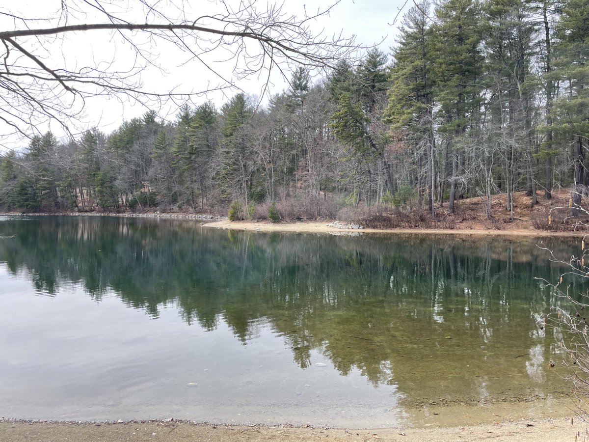 A wonderful trip to Walden Pond yesterday as part of #aseh2023! ⁦@ASEH_org⁩