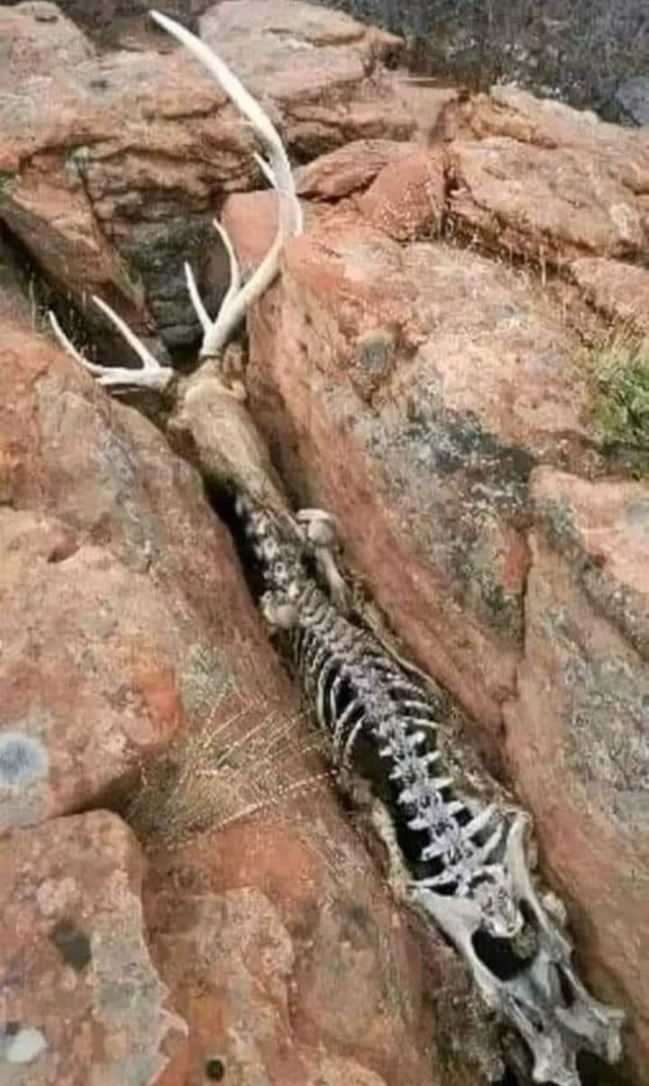 इस तस्वीर को महसूस करो!  दुःख, दर्द और पीड़ा 😢
