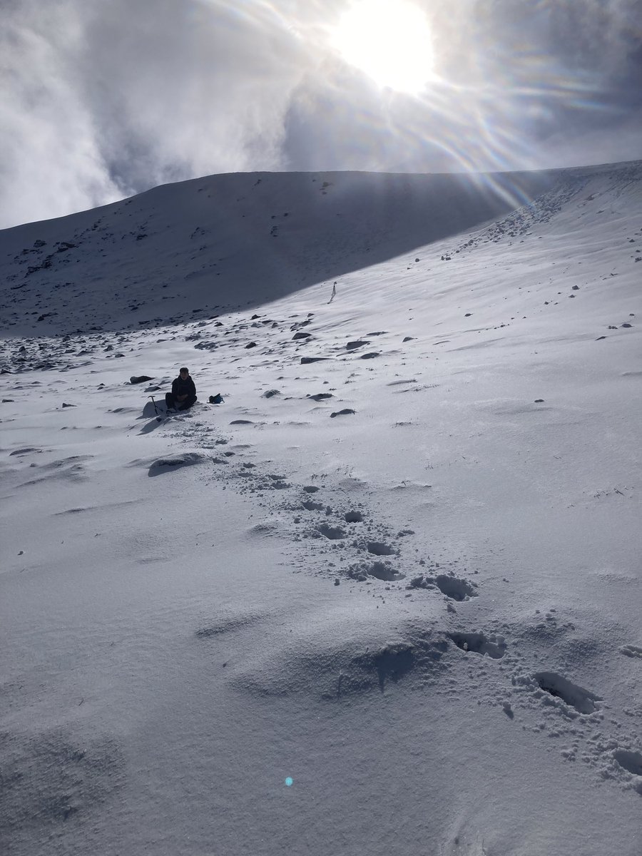 Stella conditions in the Norther Corries today #thinkwinter #beadventuresmart