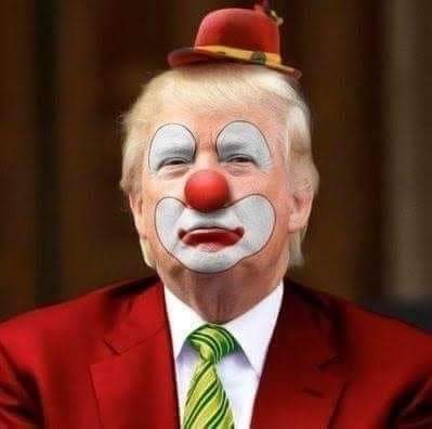 <a href="/kangaroos991/">Just saying</a> <a href="/ColoradoDavidSu/">americaisintrouble</a> 🤡🤡🤮🤡🤡💩🤡🤡
