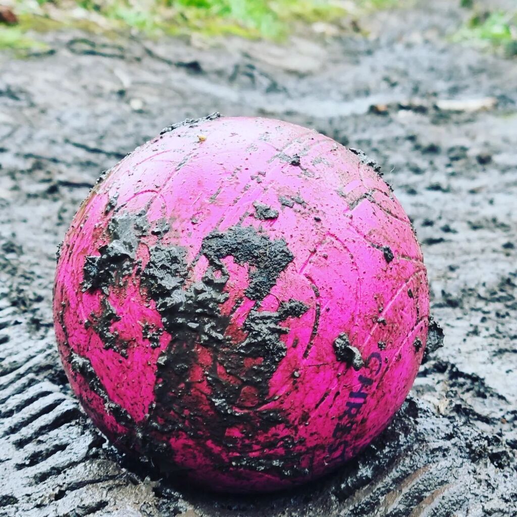 TRAILBALL tweet media