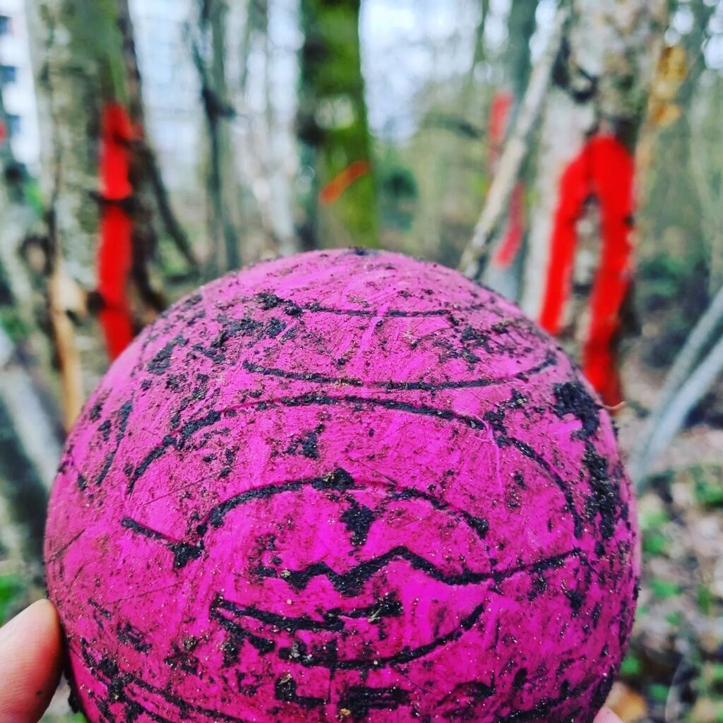 TRAILBALL tweet media