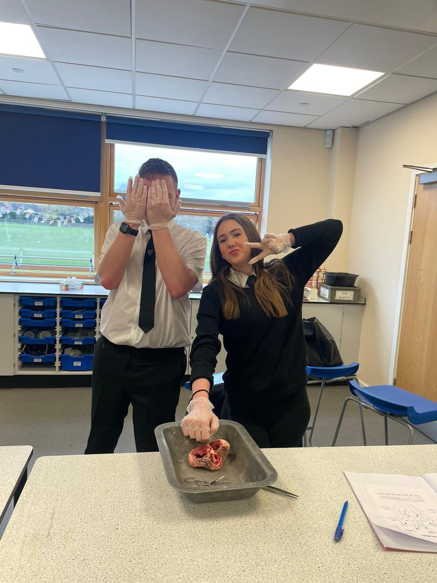 BBSScience1's tweet photo. Y10 and more heart ♥️ dissections this week with Mrs Hawkins and Miss Phillips #wearebbs #inspiringcuriosity #biology https://t.co/f6lCgmKsfc