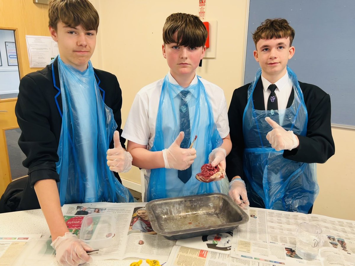 BBSScience1's tweet photo. Y10 and more heart ♥️ dissections this week with Mrs Hawkins and Miss Phillips #wearebbs #inspiringcuriosity #biology https://t.co/f6lCgmKsfc