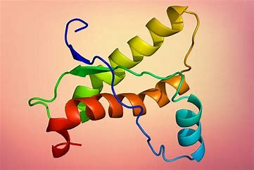 nycliusa's tweet photo. The Spike Protein Is a Bioweapon. normally, the spike protein on a virus will collapse on itself and fall into the cell once it attaches to the ACE2 receptor. The vaccine-induced spike protein does not do this. Instead it stays open and remains attached to the ACE2 receptor, thereby disabling it and causing a host of problems that lead to heart, lung and immune impairment.
What’s more, because the RNA code has been enriched with extra guanines (Gs) and cytosines (Cs), and configured as if it’s a human messenger RNA molecule ready to make protein by adding a polyA tail which consists of multiple adenosine monophosphates, the spike protein’s RNA sequence in the vaccine looks as if it is part bacteria, part human and part viral at the same time.
There’s also evidence suggesting the SARS-CoV-2 spike protein may be a prion, which is yet another piece of really bad news, particularly as it pertains to vaccine-induced spike protein. Prions are membrane proteins and when they misfold, they form crystals in the cytoplasm resulting in prion disease.
@_jenniferlong
 
@peterconet8
 
@annika1021
 
@DrLoupis
 
@DocAhmadMalik
 
@bd_baskoro
 
@G_l_i_t_c_h_e_d