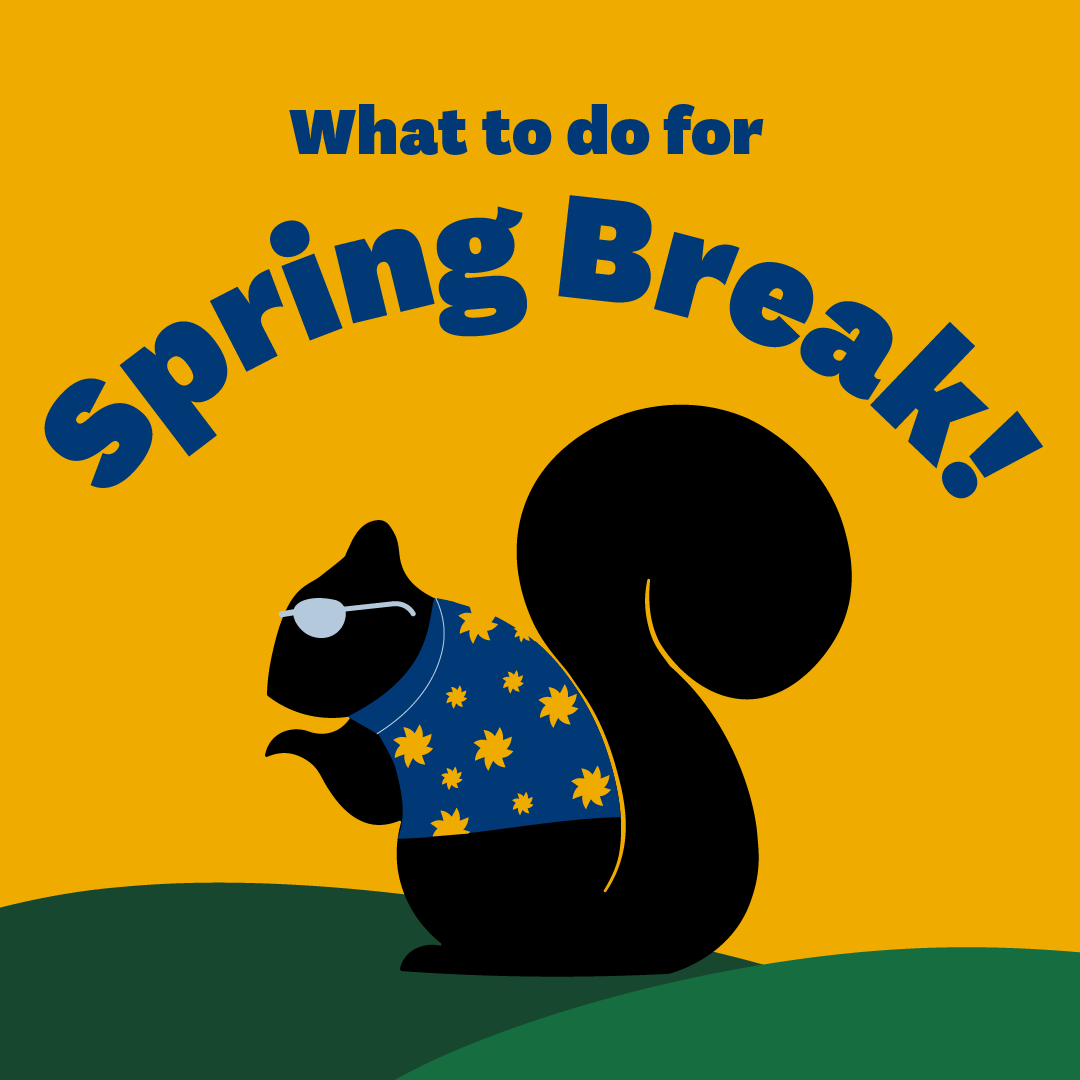 KentStateIntl's tweet photo. Spring Break is here at Kent State! With a week off, there's so much you can do! Here are some of International Admissions' travel suggestions for a fun break! There's so much to do while you're here in the US, so go ahead and try one out! https://t.co/xU614JCzks