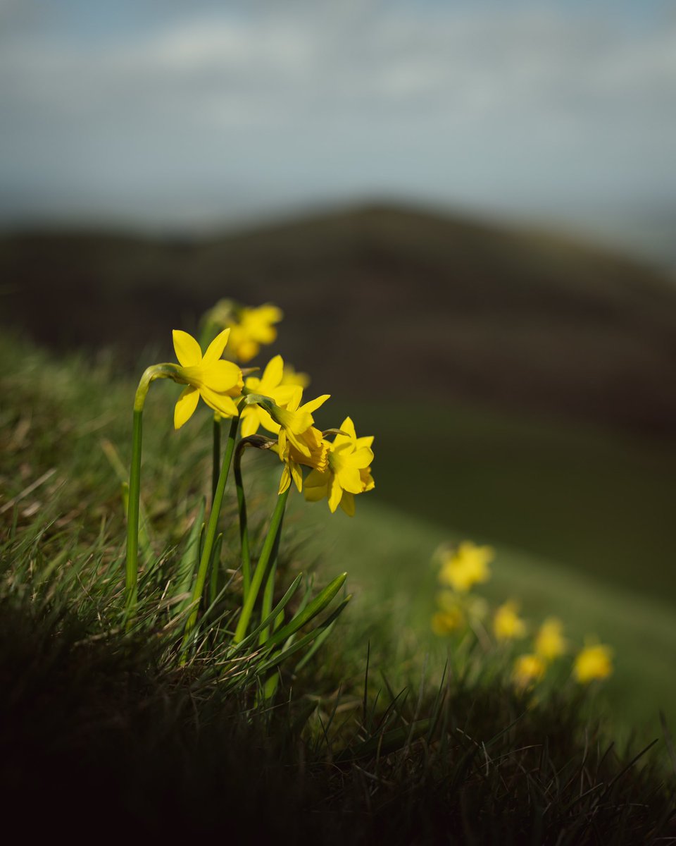 LukeHolliday_'s tweet photo. Malvern Hills | @VisitMalvern https://t.co/nMn8aByo0U