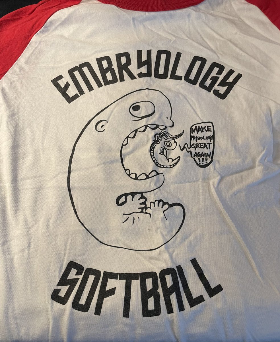 EricHastie's tweet photo. In keeping the celebration of 130 years of embryology going, let’s see those softball shirts! @labonnelab @MBLScience @MadS100tist #embryo2016 #embryo https://t.co/NsGXAjCjuI