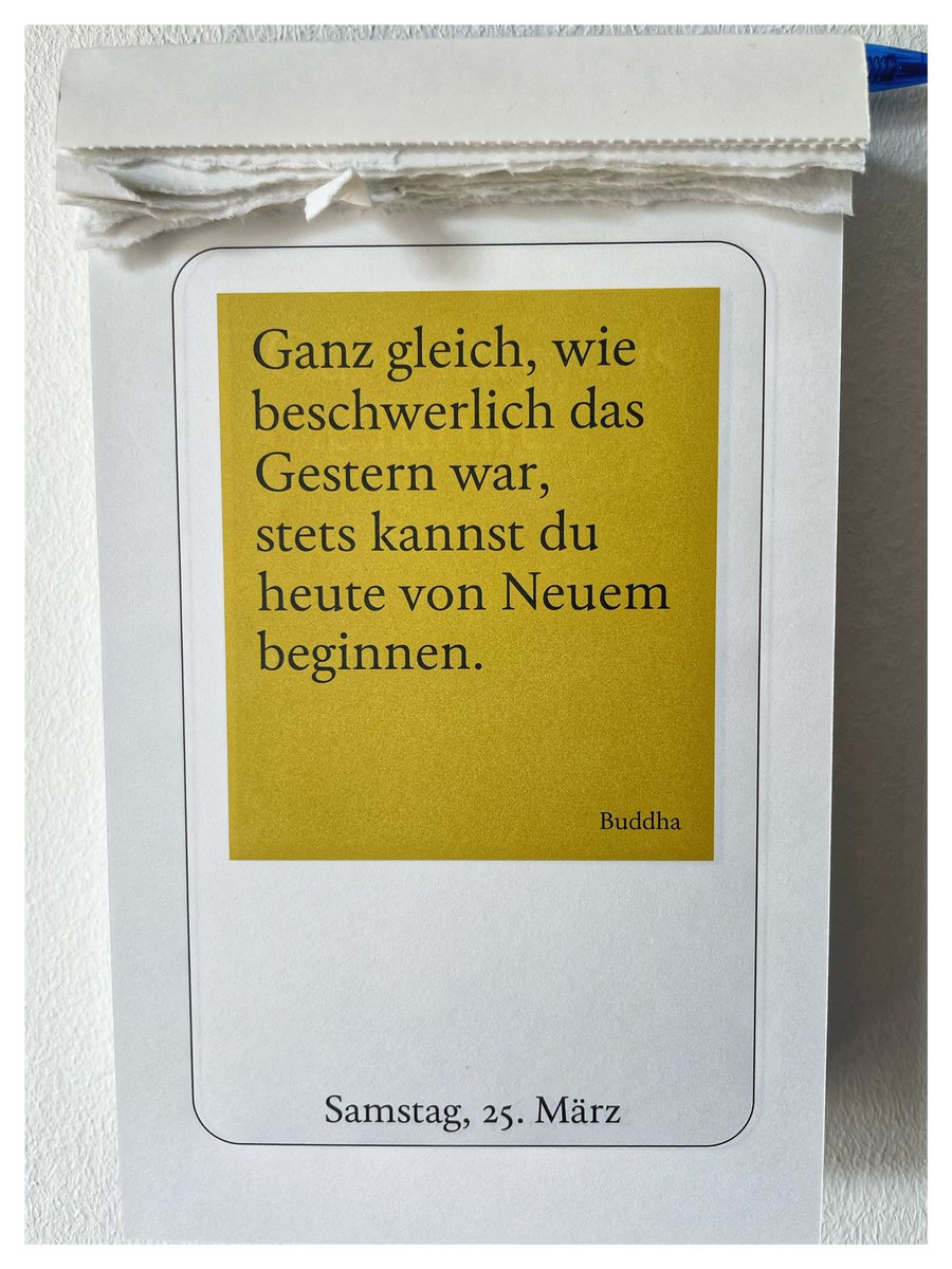 Franziska Höhnl tweet media