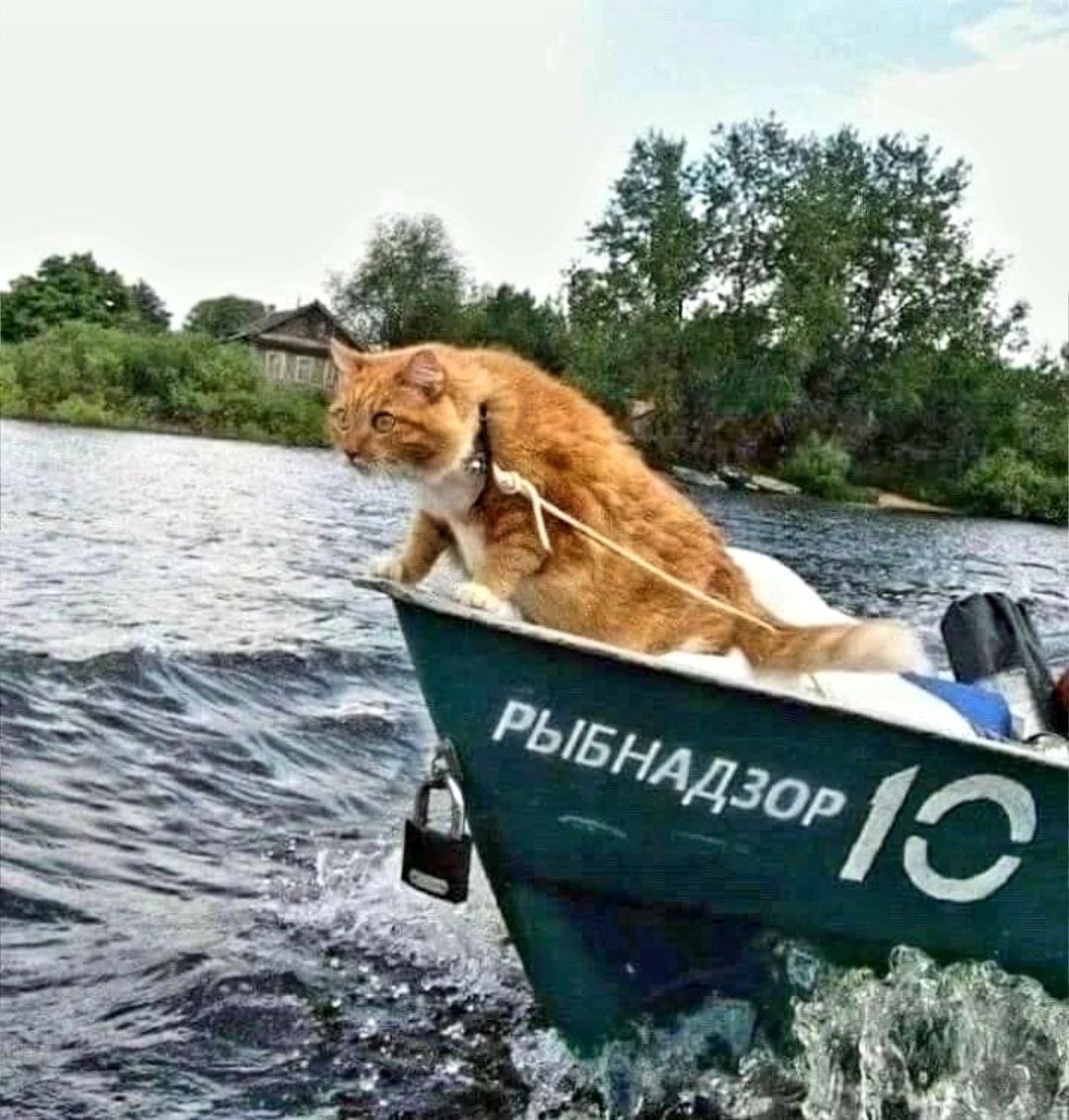 kakashtla's tweet photo. @ilya_shepelin https://t.co/IgLrtbpMP7