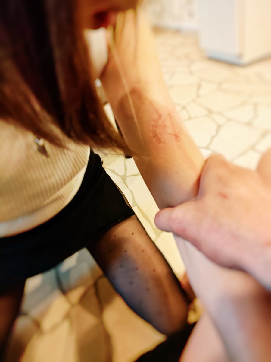 蒼猫2nd tweet media