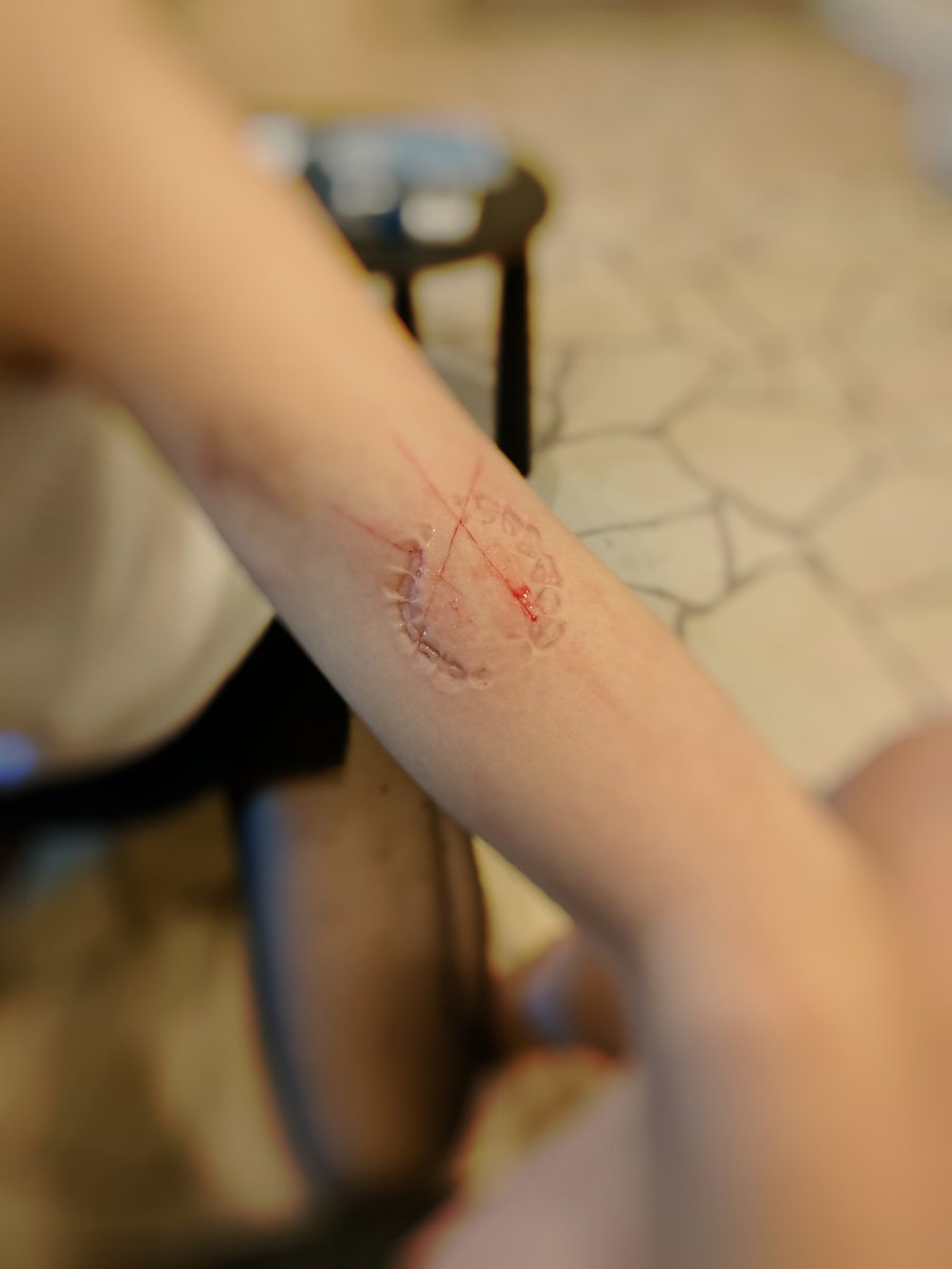 蒼猫2nd tweet media