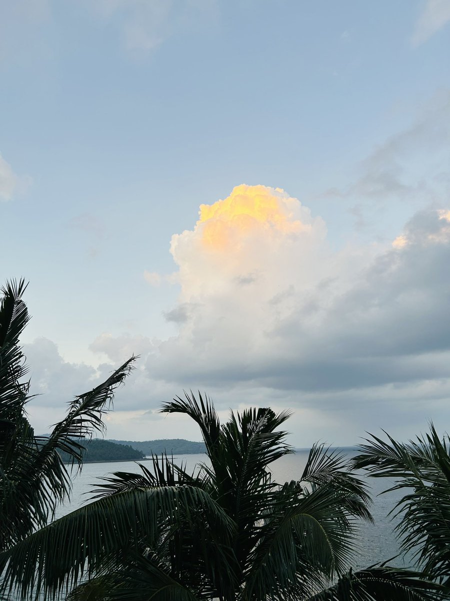 Prof Naveen Sirohi, PhD tweet media