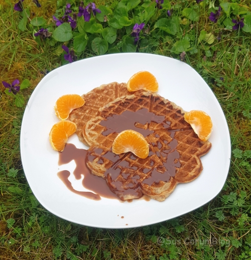 Heute ist in Schweden mal wieder " Våffeldagen", der Tag der Waffel. Grund genug, um auch mal wieder welche zu backen, oder?

Waffeln mit Tonkabohne, Bananen und Mandelmilch

#Banane #Mandeln #Tonka #Waffel #TagDerWaffel

wassersch.eu/corumblog/2023…