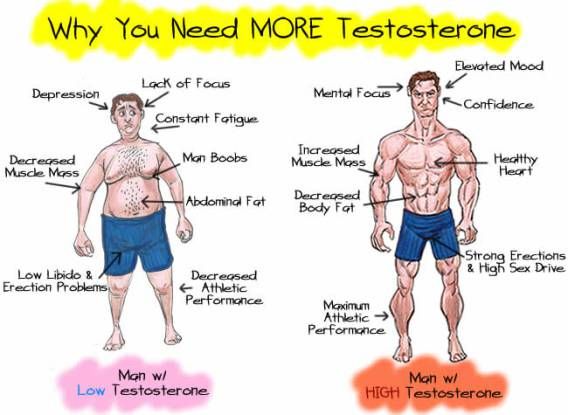 Men are facing a pandemic of low testosterone. 

It’s leading to lower sex drive, infertility, and a lack of ambition.

Here are 10 ways you can boost your testosterone (naturally):