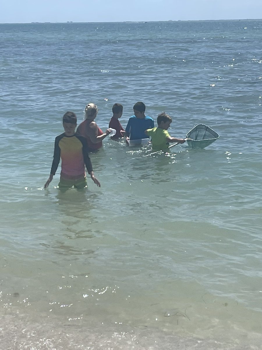 Amanda Fursetzer tweet media