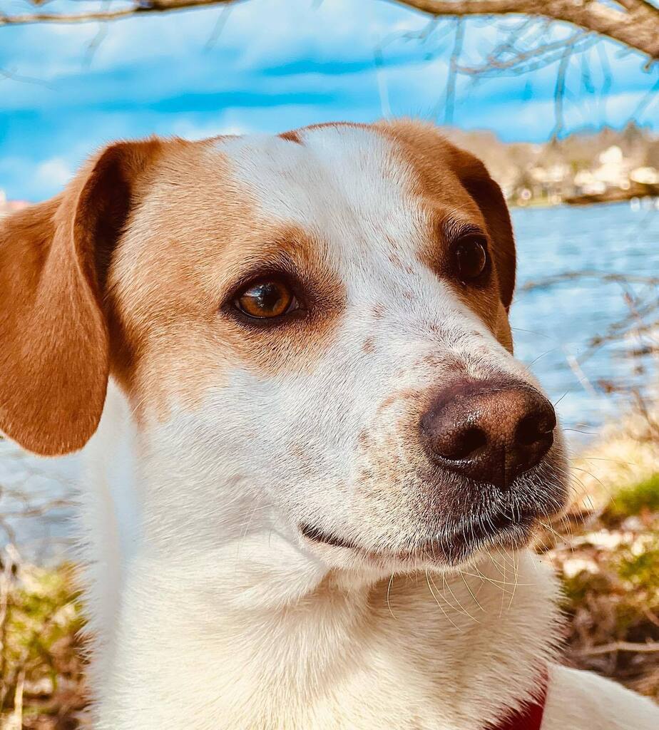 h_ankershoffen's tweet image. #dasmodel #kraftwerk #teamrudi #Instagram instagr.am/p/CqNfvTnM8CR/