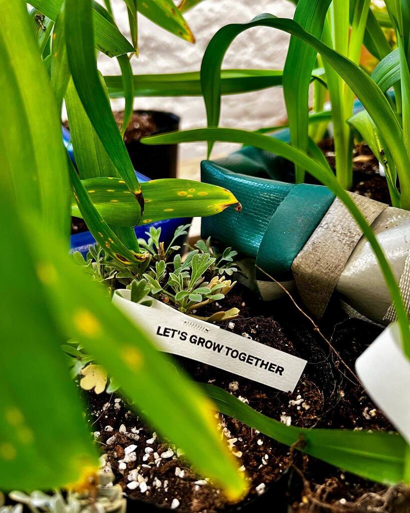 chiyingz's tweet photo. 🌱🌿🪴
#frtg #freitag #frtglab #freitaglab #freitagshanghai https://t.co/wJH24fISjT https://t.co/mJHuxmRxGA