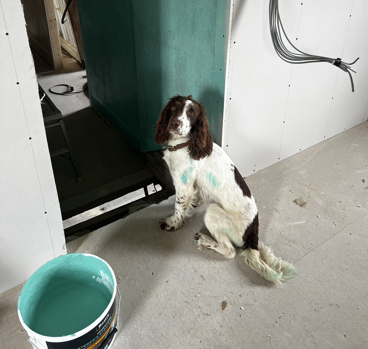 chump_dog's tweet photo. I did gone do helping. https://t.co/cnRw8crcSD