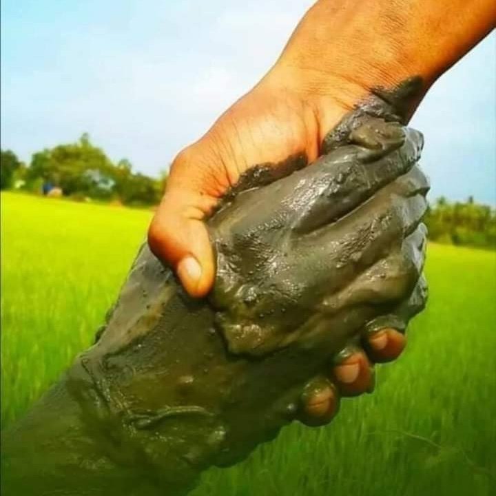 SDPATEL25479017's tweet photo. #NewProfilePic https://t.co/2hrqSFVKVu