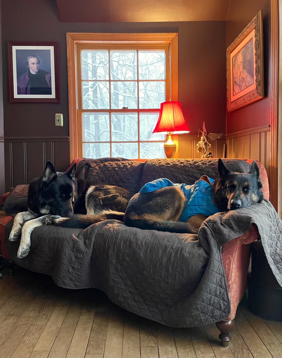 J F Riordan On Twitter Snowy Saturday 