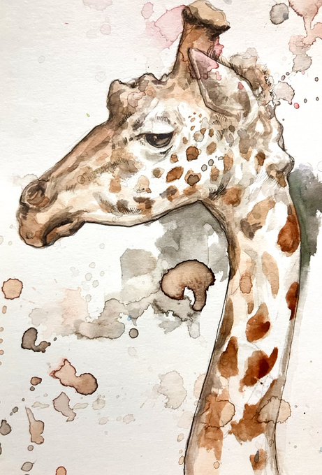 キリンの親子　水彩画　自己流　動物好き キリンの親子 水彩画 自己流 動物好き キリンさん（水彩・動物