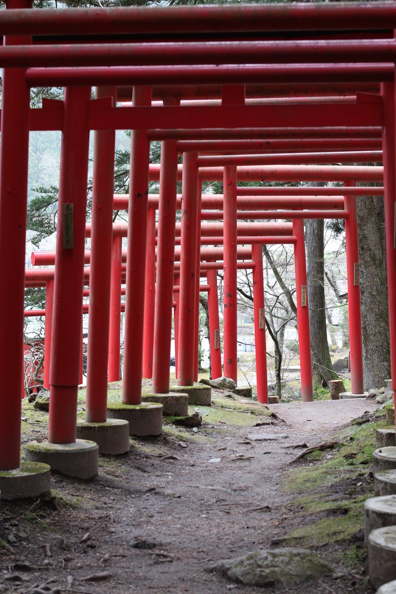 散歩に近くの稲荷神社へ。
今日は神楽が舞われていました。
#EOSR10 #rf50mmf18