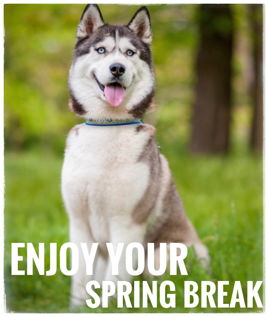 hollyacademymi's tweet image. Have a safe and relaxing spring break. School resumes on Monday, April 3rd.

#characterdefinesus
#CMUcharters 
#MIcharterstory
#powerofthepack
#charterschools
#education