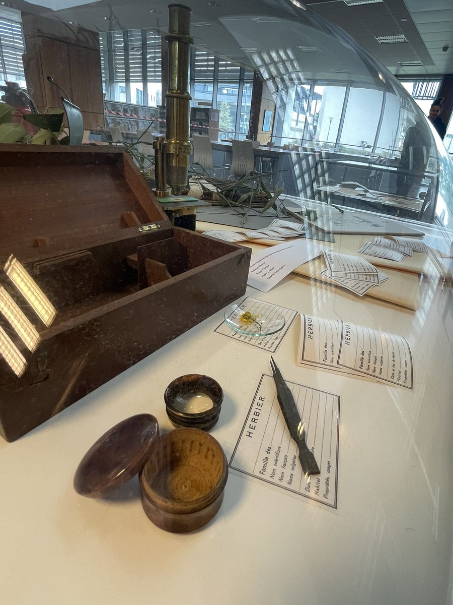 AyraudJ's tweet photo. #Exposition A 14h à la @BibUnicaen campus 2, venez à la découverte des collections d’herbiers de l’université et vous essayez à l’identification des plantes de notre région ! https://t.co/iiVvwQDYlW