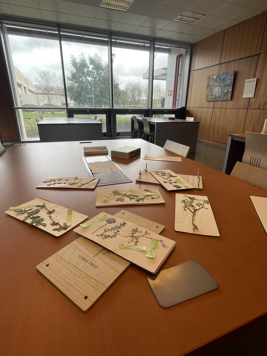 AyraudJ's tweet photo. #Exposition A 14h à la @BibUnicaen campus 2, venez à la découverte des collections d’herbiers de l’université et vous essayez à l’identification des plantes de notre région ! https://t.co/iiVvwQDYlW