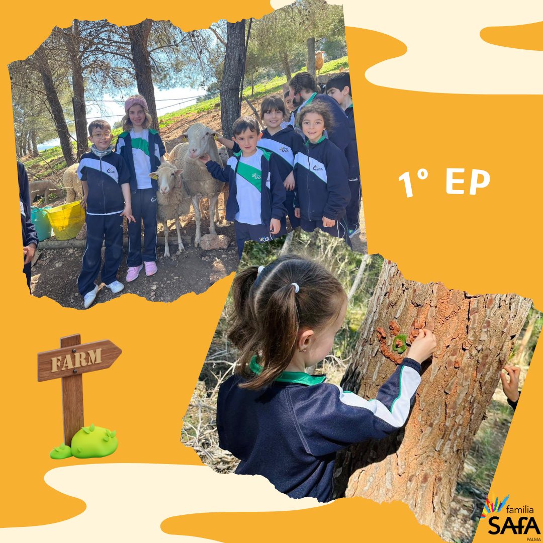 VirgenCarmenPM's tweet photo. Los alumnos de 1ºEP pasaron un súper día de actividades, nuevos y risas en la granja. ¡Nos ha encantado! 🐖🌿🌳🌷
.
.
.
.

#safa #safapalma #curso #educacion #colegio #school #teacher #malorca #lugar #donde #soñar #juegos #granja #excursión #primaria https://t.co/UMUvWjJmuY