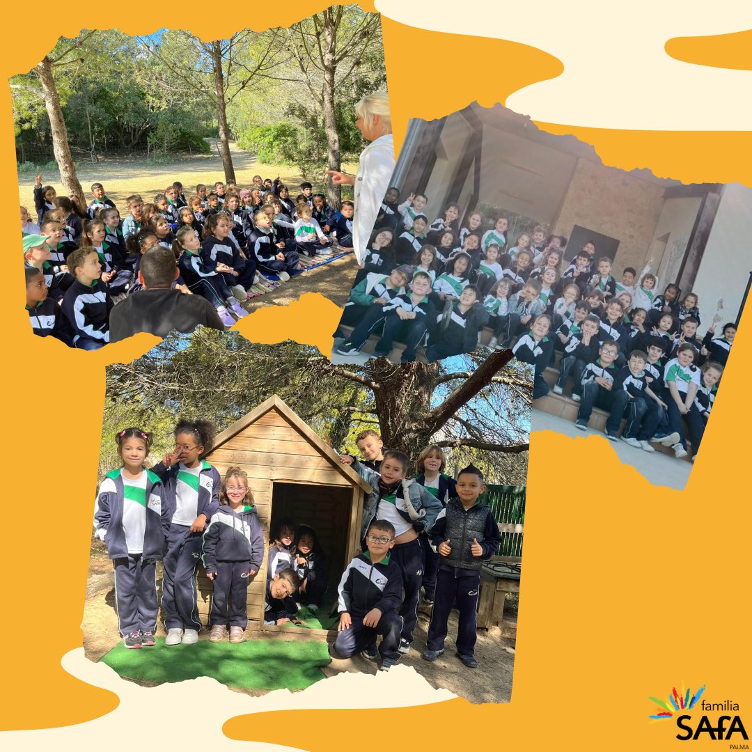 VirgenCarmenPM's tweet photo. Los alumnos de 1ºEP pasaron un súper día de actividades, nuevos y risas en la granja. ¡Nos ha encantado! 🐖🌿🌳🌷
.
.
.
.

#safa #safapalma #curso #educacion #colegio #school #teacher #malorca #lugar #donde #soñar #juegos #granja #excursión #primaria https://t.co/UMUvWjJmuY
