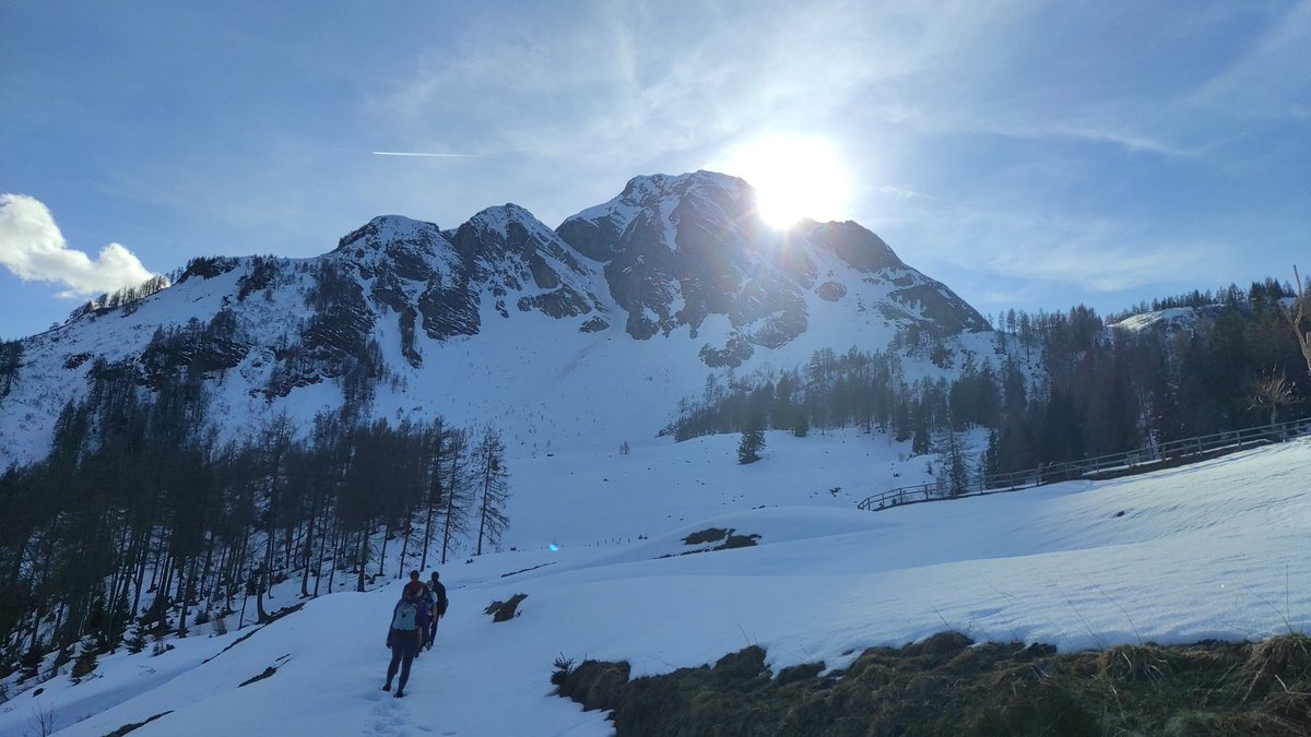 Peter Thestrup Waade tweet media