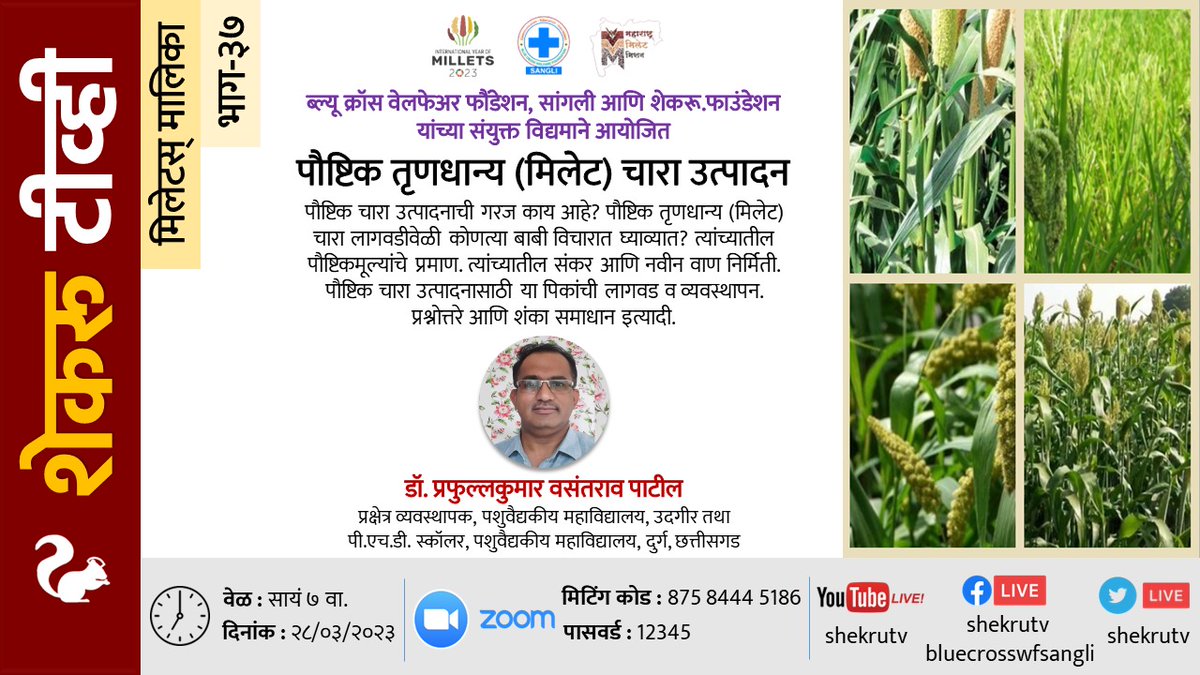 shekruTV's tweet photo. #मिलेटस् मालिका(भाग-३७):#पौष्टिक #तृणधान्य #चारा उत्पादन
डॉ.प्रफुल्लकुमार पाटील
#पशुवैद्यकीय महाविद्यालय #उदगीर 
२८/३  सायं ७
#Millet Series(Part-37):Nutritious Millet #Fodder Prodn
Dr.Prafulkumar Patil
College of Vet Sci #Udgir
28/3 7pm
#IYM2023 #MahaMillets https://t.co/8WEpJV9uGm