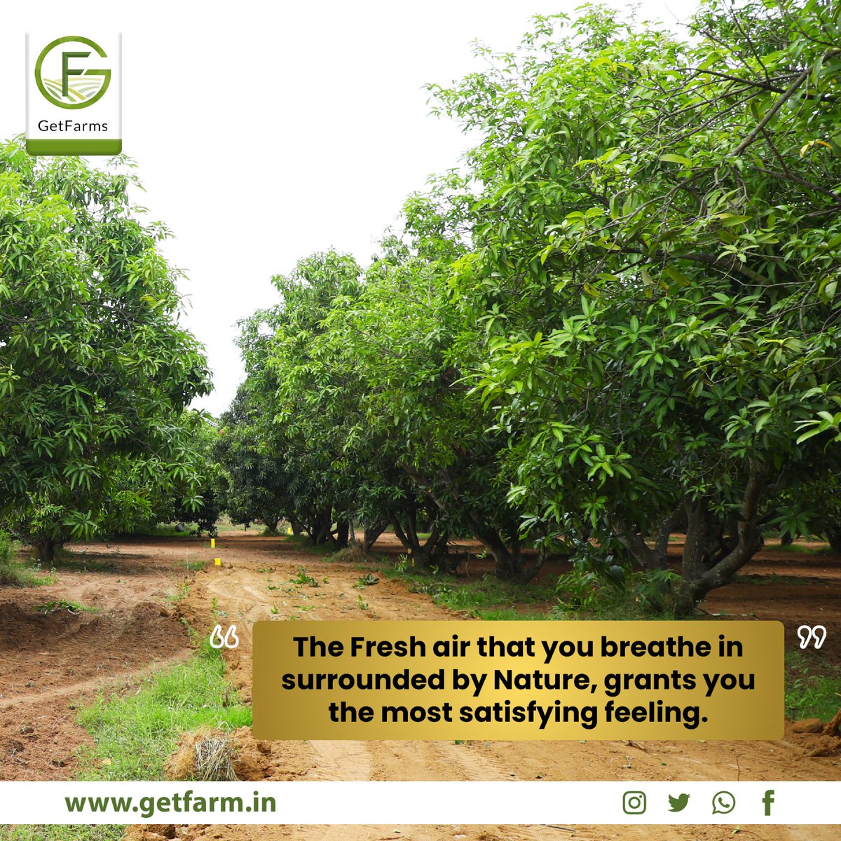GetFarms's tweet photo. Getting a Fresh Breath of Air on a Farm Can Be a Wonderful Experience to Away from the Hustle and Bustle of the City
#getfarms #retirementcommunity #retirementplanning #retirementlife #family #wealth #healthylifestyle #nextgeneration #oldgeneration #farmhouse #farms #farm #Peace https://t.co/WH3ebsG9ZR