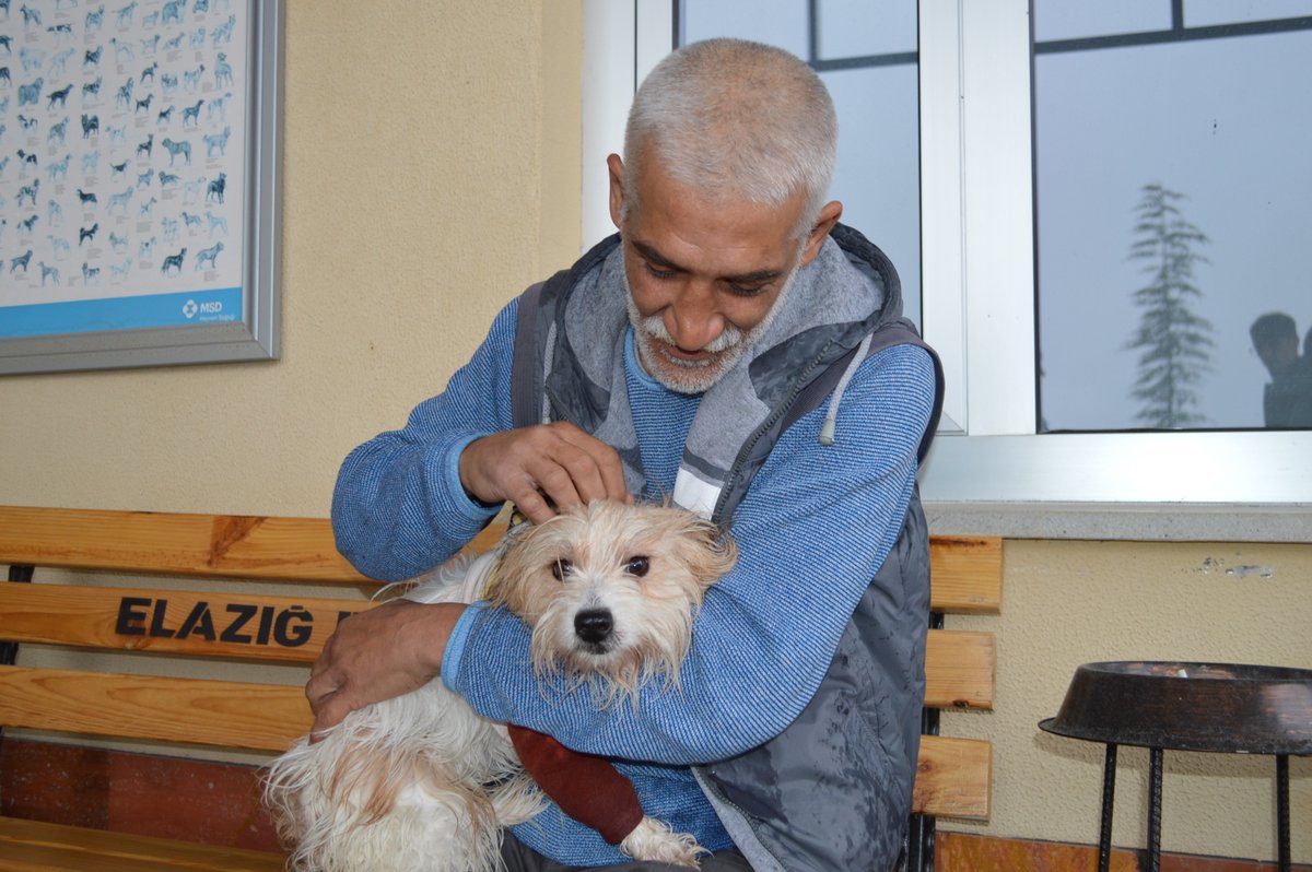 dhainternet's tweet photo. Muğla’da 1 yıl önce çalınan köpek, mikroçip sayesinde Elazığ’da bulundu
https://t.co/Ml3Uzucj4t https://t.co/1cBHW3PLvW