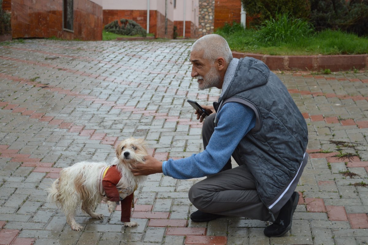 dhainternet's tweet photo. Muğla’da 1 yıl önce çalınan köpek, mikroçip sayesinde Elazığ’da bulundu
https://t.co/Ml3Uzucj4t https://t.co/1cBHW3PLvW