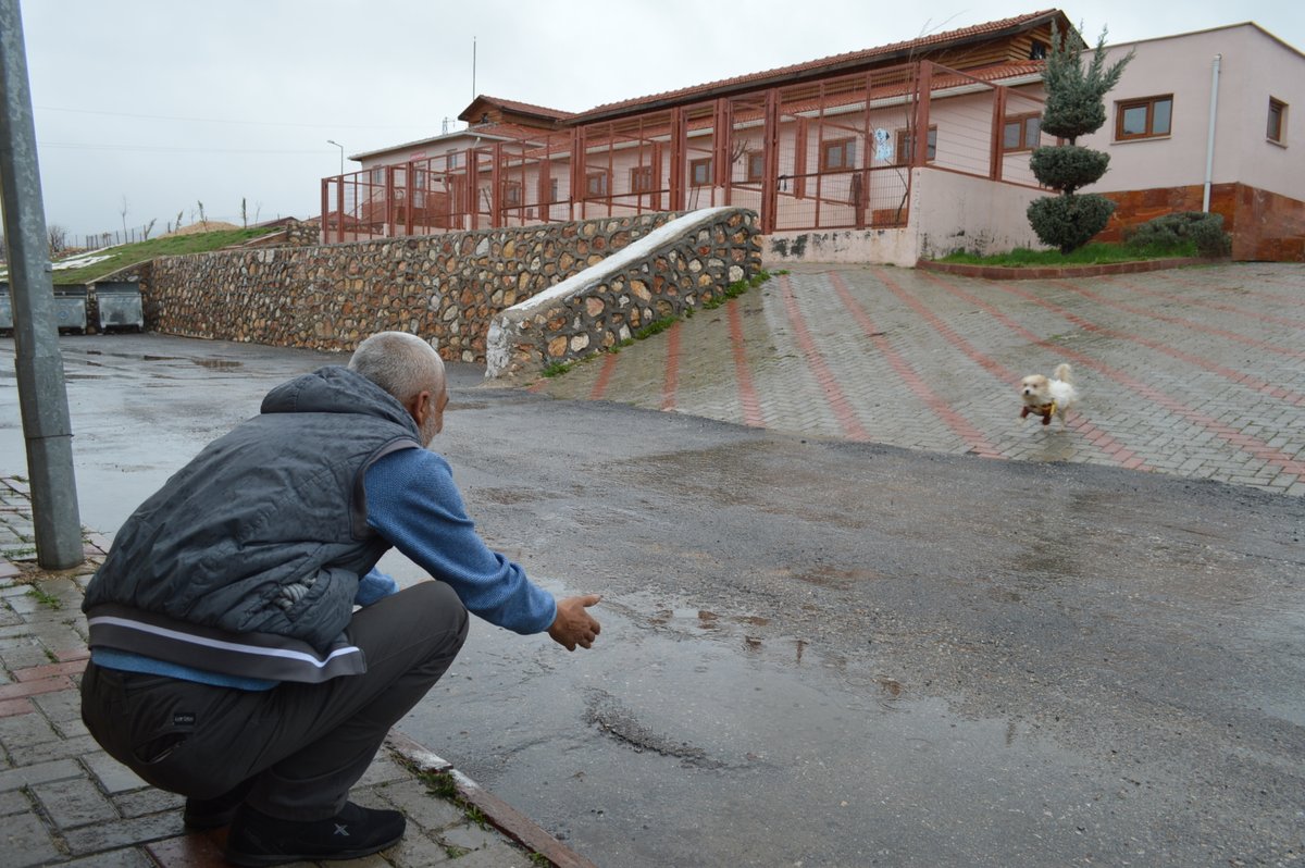 dhainternet's tweet photo. Muğla’da 1 yıl önce çalınan köpek, mikroçip sayesinde Elazığ’da bulundu
https://t.co/Ml3Uzucj4t https://t.co/1cBHW3PLvW