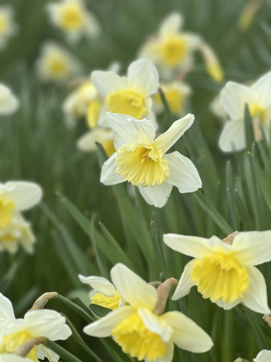 Happy weekend, everyone!