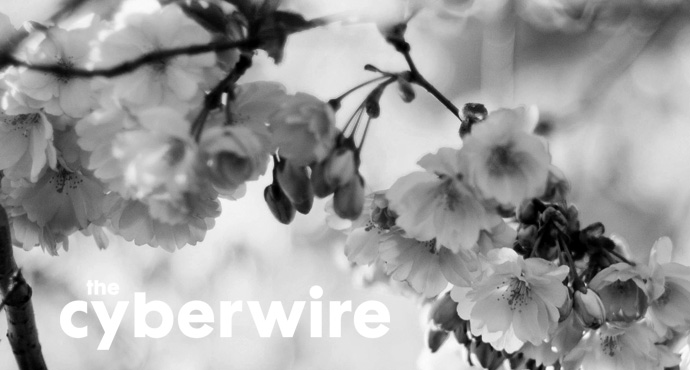thecyberwire's tweet image. Add color to your weekend w/the CyberWire. 🌸 
#ResearchSaturday: latest #cyber research each week. bit.ly/cwResearchSatu…
#WeekThatWas: the week's curated cyber headlines. bit.ly/cwWTWmain
#CareerNotes: hear industry professionals' career stories. bit.ly/cwCNotes