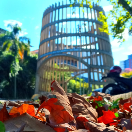 Turismo_Bento's tweet photo. Bem-vindo, outono!🍁💛
Foto: @valr.flores
👉 #BentoPuraInspiraçao #TurismoBento #cittadelvino #valedosvinhedos #caminhosdepedra #encantosdeeulalia #valedasantas #cantinashistoricas #bentoemvindima #VisiteBento #Bentolovers #CurtaBento #SerraGaucha @mturismo https://t.co/NRbxqxljcJ
