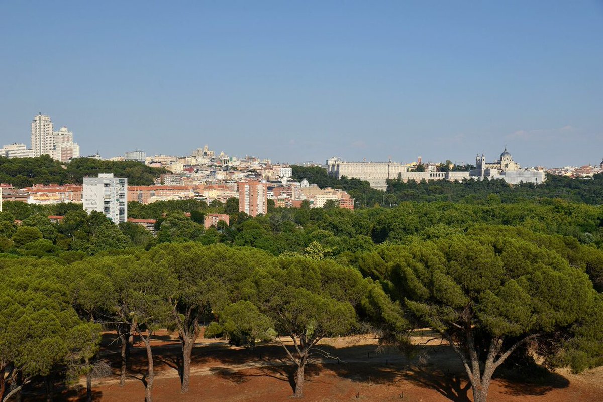 MADRID's tweet photo. 📢#Madrid recibe por cuarto año consecutivo la distinción de 'Ciudad arbórea del mundo' 🌳por parte de la Organización de las #NacionesUnidas para la Alimentación y la Agricultura (#FAO) y la Fundación Arbor Day. 

👉https://t.co/DMzBkIPtXS https://t.co/Cv00oHX86d